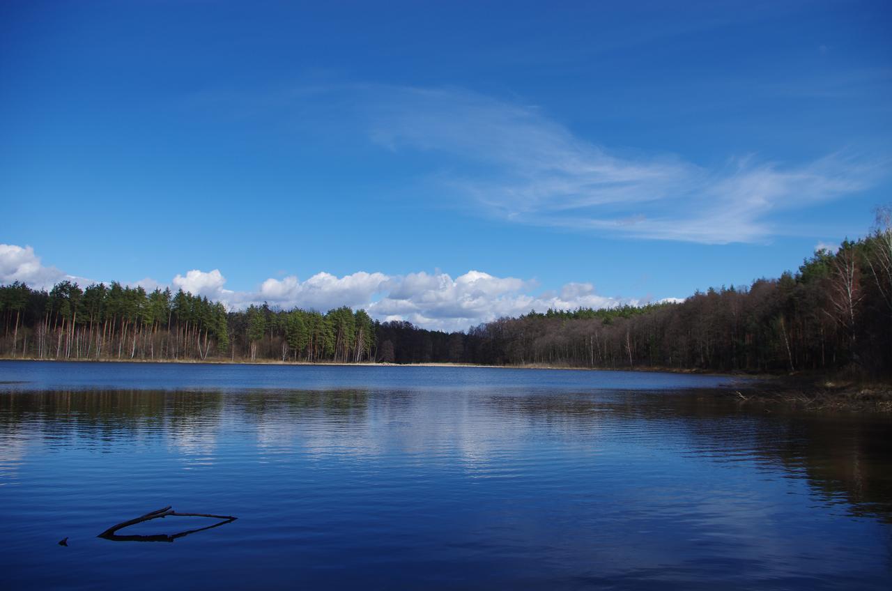 Отель Charivne Ozero Korostyshiv Экстерьер фото